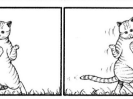 REVIEW: WHAT’S MICHAEL? is the funniest, canniest cat comic in print