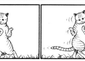 REVIEW: WHAT’S MICHAEL? is the funniest, canniest cat comic in print