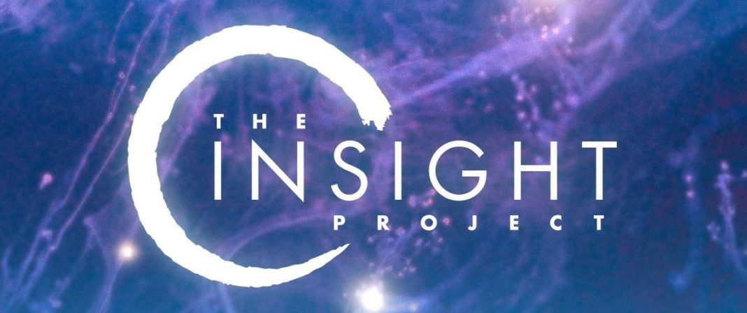 Insight Project