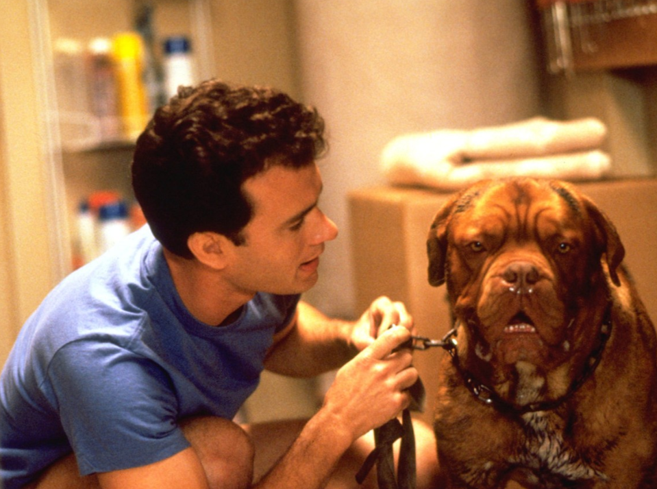 Tom Hanks gives Hooch a bath