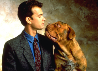 Disney+’s TURNER & HOOCH reboot adds two human leads The original Turner and Hooch