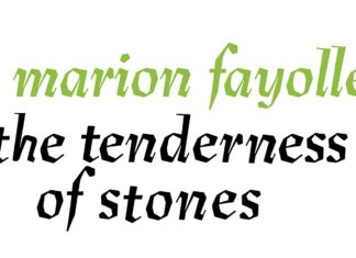 REVIEW: Marion Fayolle’s THE TENDERNESS OF STONES is a thoughtful and nuanced way to approach grief