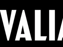 Rob Levin joins Valiant as executive editor valiant