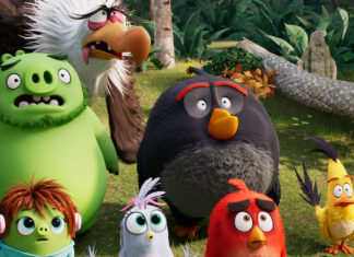 Netflix has ordered forty (40) episodes of an ANGRY BIRDS animated series angry birds animated series