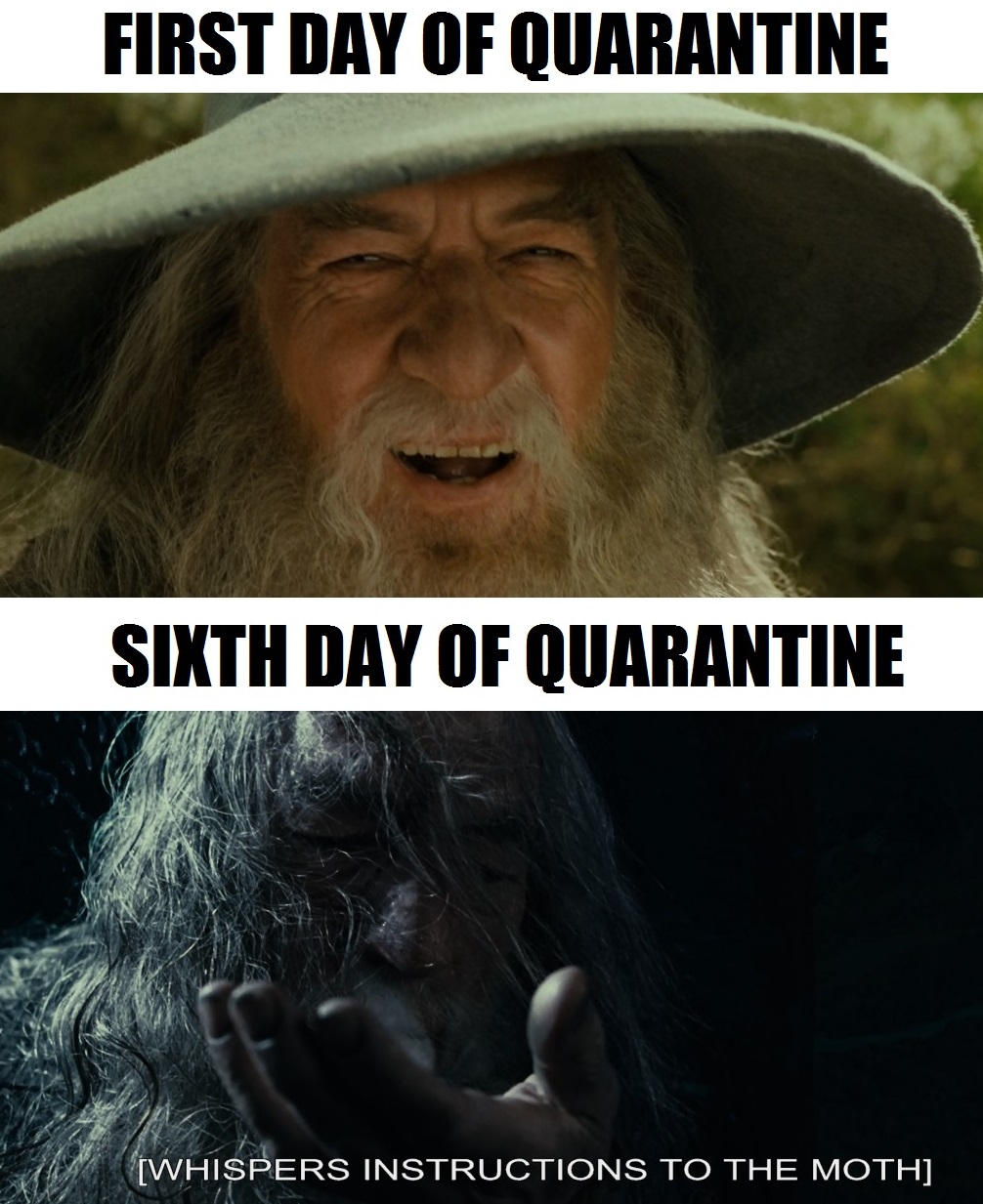 Gandalf and quarantines unite for memes