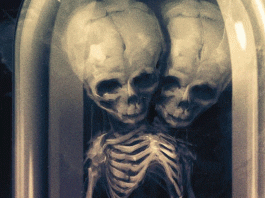 The Coronavirus Journal: Alternative Distribution Will Help Us Survive