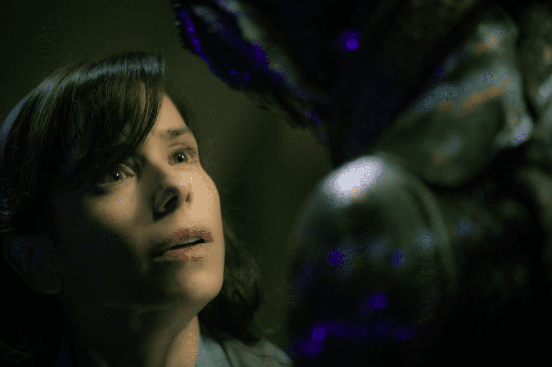 The Shape of Water, a fantasy film that won an Oscar