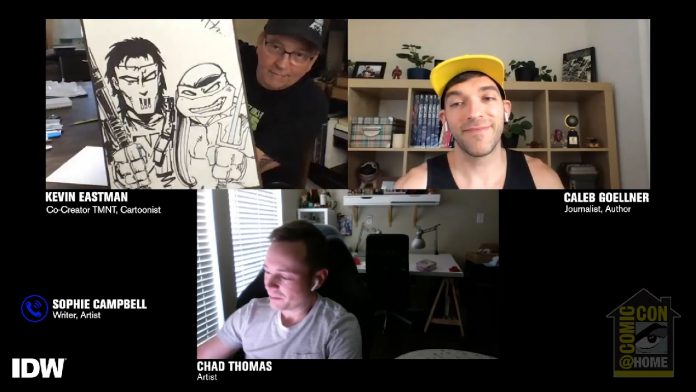 IDWTMNTSDCC Draw a Teenage Mutant Ninja Turtle