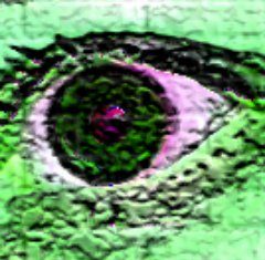 Warren Ellis: 20 Years of the Bastard