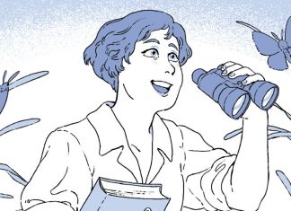 EXCLUSIVE PREVIEW: BOOM! Studios spotlights environmentalist Rachel Carson in next volume of the SEEN series