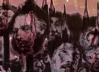 Vault adds Anand Radhakrishnan covers for THE PICTURE OF EVERYTHING ELSE #1 The Picture of Everything Else