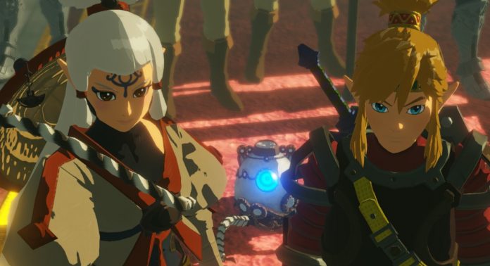 Hyrule Warriors Cover