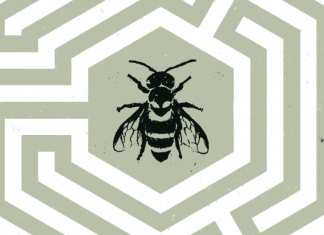 INTERVIEW: Ann Nocenti and David Aja on THE SEEDS and freefalling into their wildest dreams nocenti aja seeds