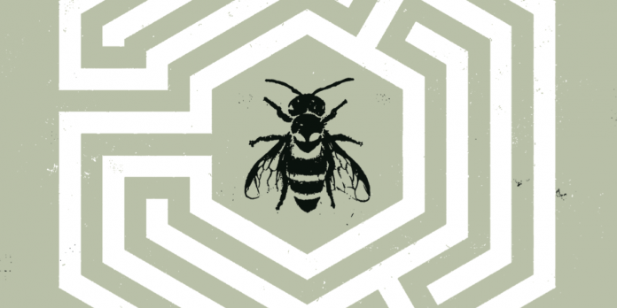 seeds-header nocenti aja seeds