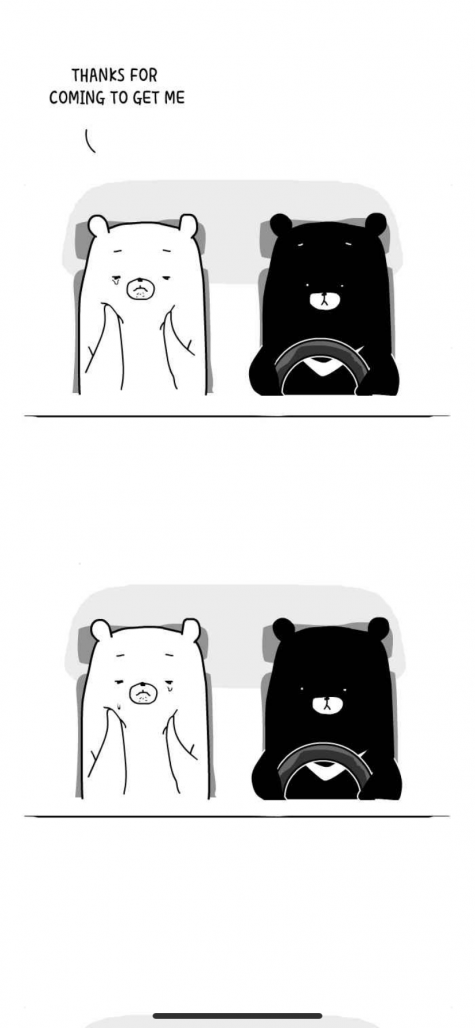 The Life of the Three Bears