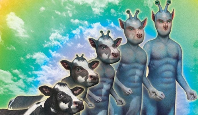 Animorphs Cover