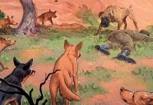 ADVANCE REVIEW: A lost dog makes an incredible journey home in LOVE: THE MASTIFF