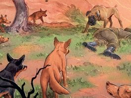 ADVANCE REVIEW: A lost dog makes an incredible journey home in LOVE: THE MASTIFF