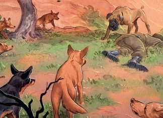 ADVANCE REVIEW: A lost dog makes an incredible journey home in LOVE: THE MASTIFF