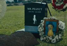 SILBER LININGS: There’s a whole lotta nuttin’ goin’ on