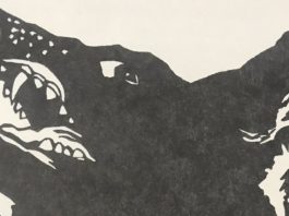 The Dogs of Stephen King