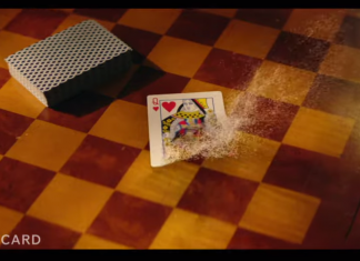 Boldly go (again) with the STAR TREK: PICARD season 2 trailer!