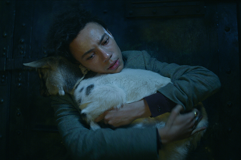 Milo the Goat