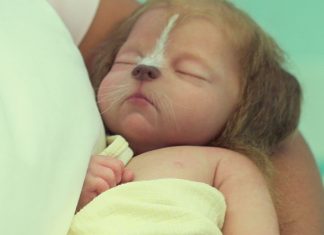 Baby hybrids arrive in the first SWEET TOOTH trailer Sweet Tooth trailer