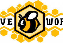Newsmakers: Isabelle Melançon and Xellette Stillwell talk Hiveworks hiveworks logo