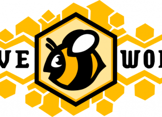 Newsmakers: Isabelle Melançon and Xellette Stillwell talk Hiveworks hiveworks logo