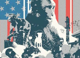 SWEET LAIKA’S GHOST! Jeff Lemire & Andrea Sorrentino send monkeys to space in PRIMORDIAL limited series Primordial