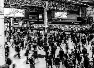 FANDOM FLAMES: Fandom, a complicated beast, is good, actually Fandom is a complicated beast, where you can get lost or found in a crowd