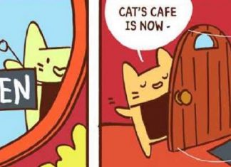 A Year of Free Comics: Stop in for a cup of Joe at CAT’S CAFÉ