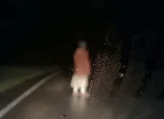 TIFF 2021: Is DASHCAM just trolling us? Dashcam TIFF 2021