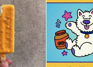 Who Wants a Treat? MAYOR GOOD BOY Gets Ice Cream Homage