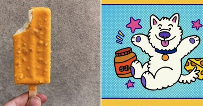 The Mayor Good Boy Pop