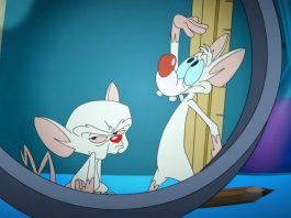 Pinky and the brain