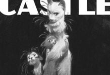 Small Press Spotlight: Read a new take on a familiar tale in ANIMAL CASTLE Animal Castle