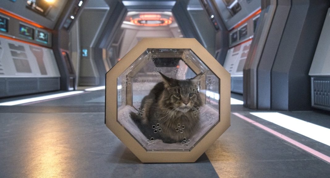 Queen Grudge prefers being in a panel to being in a kennel.