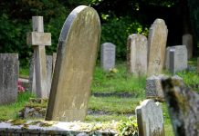 Fandom Flames: 6 notable TV casualties of 2021