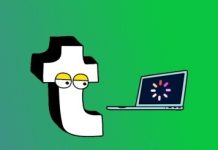 FANDOM FLAMES: Tumblr Wrapped is here…but why? Tumblr Wrapped happened, I guess