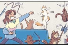 INTERVIEW: 217 cats return in KATIE THE CATSITTER: BEST FRIENDS FOR NEVER