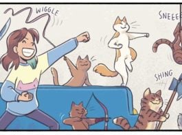 INTERVIEW: 217 cats return in KATIE THE CATSITTER: BEST FRIENDS FOR NEVER