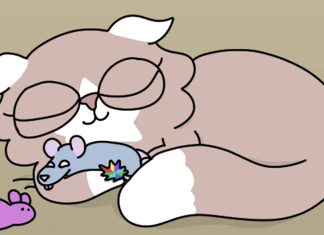 A Year of Free Comics: Meet hilarious talking animals in CAT GOT YOUR TONGUE Cat Got Your Tongue