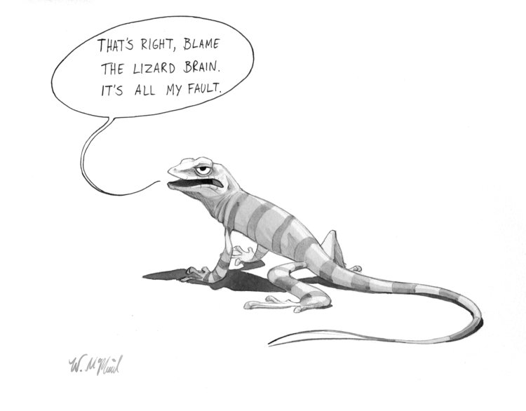 lizard cartoon will mcphail