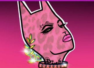 TCAF disinvites NFT minter Pink Cat from show amid criticism