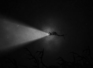 REVIEW: Spiral Circus debut SILT is a fascinating but flawed little indie puzzler that doesn’t overstay its welcome