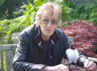 Judge Dredd, Anderson, and Batman writer ALAN GRANT has died