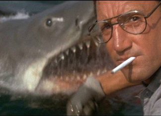 SILBER LININGS: Shut up and show me the monster