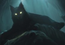 Holy cats! Netflix drops surprise Sandman bonus episode! Sandman bonus episode